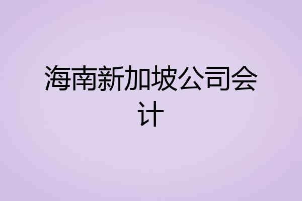 海南新加坡公司会计