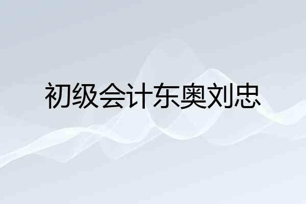初级会计东奥刘忠