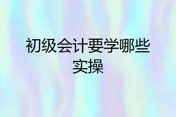 初级会计要学哪些实操