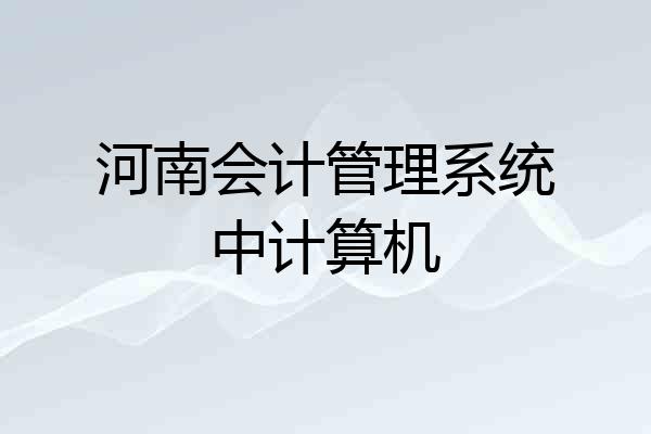 河南会计管理系统中计算机