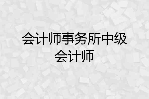 会计师事务所中级会计师