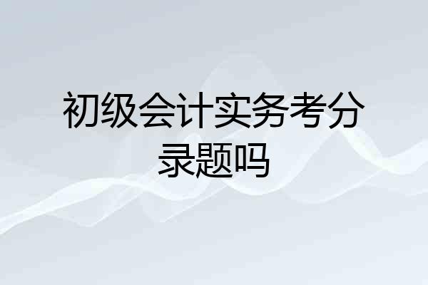 初级会计实务考分录题吗