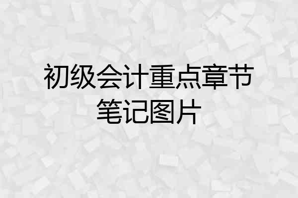 初级会计重点章节笔记图片