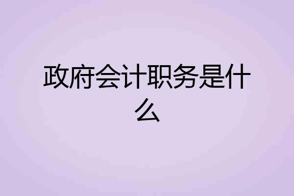 政府会计职务是什么
