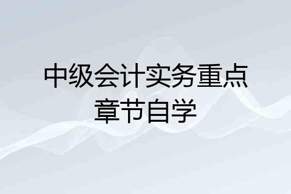 中级会计实务重点章节自学
