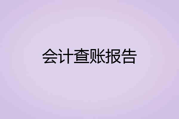会计查账报告