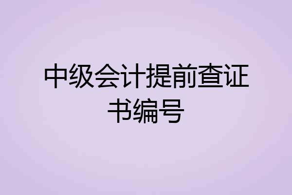中级会计提前查证书编号