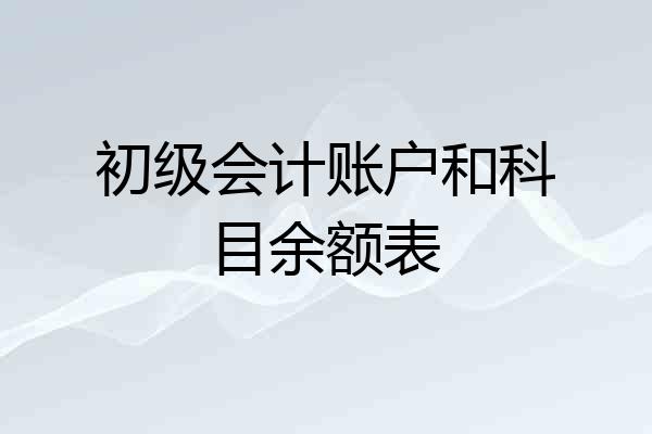 初级会计账户和科目余额表