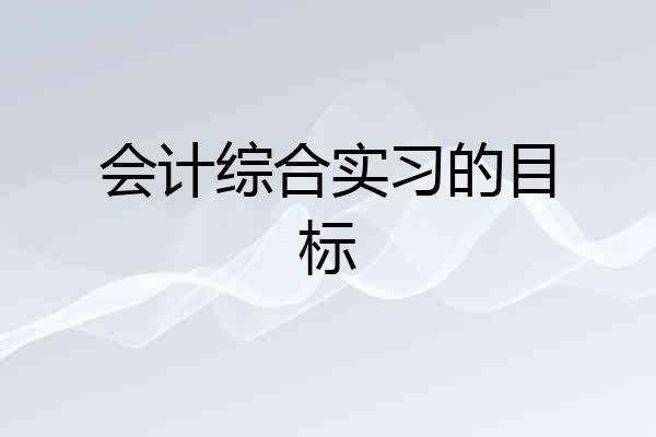 会计综合实习的目标