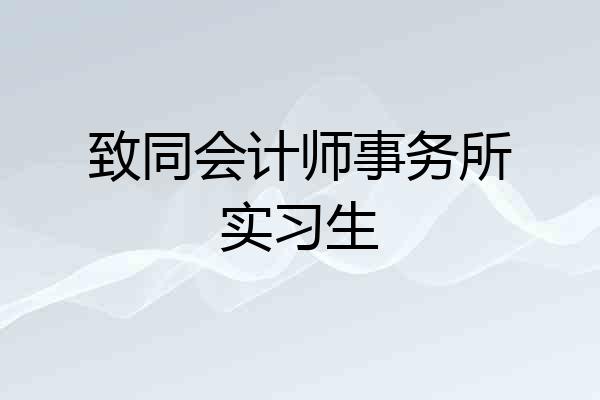 致同会计师事务所实习生