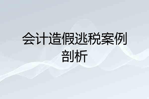 会计造假逃税案例剖析