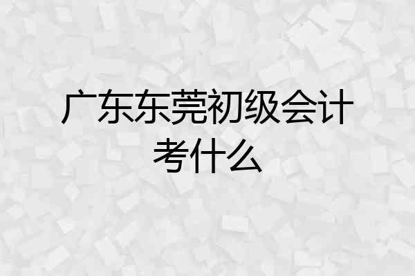 广东东莞初级会计考什么