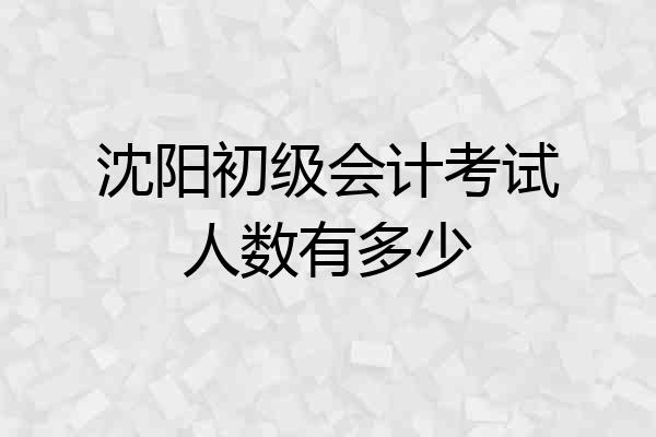 沈阳初级会计考试人数有多少