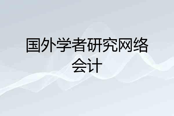 国外学者研究网络会计