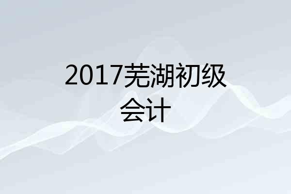 2017芜湖初级会计
