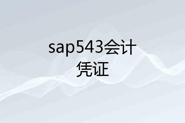 sap543会计凭证