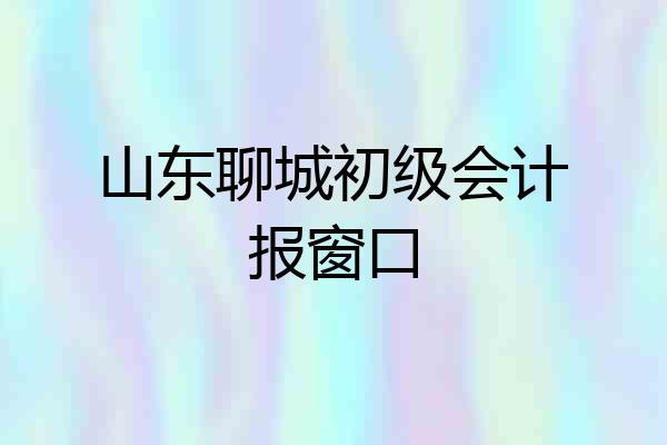 山东聊城初级会计报窗口