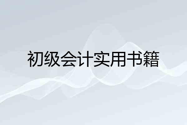 初级会计实用书籍