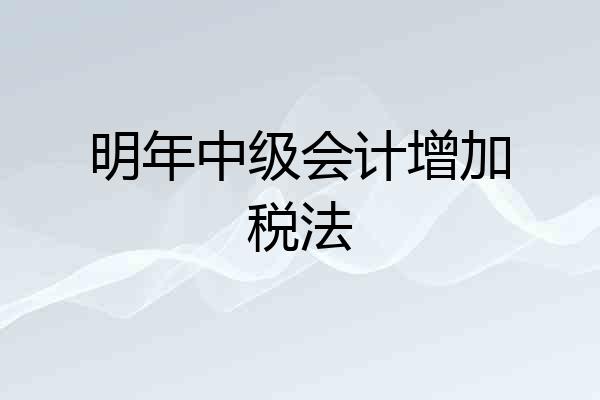 明年中级会计增加税法