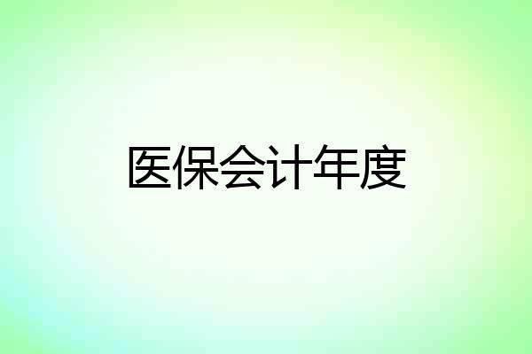医保会计年度