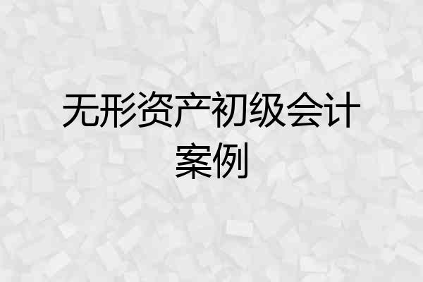 无形资产初级会计案例