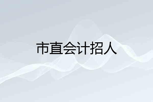 市直会计招人