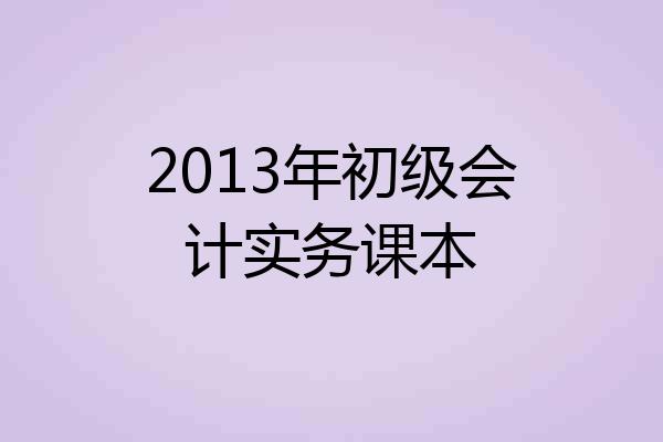 2013年初级会计实务课本