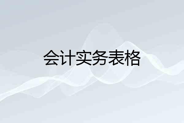 会计实务表格