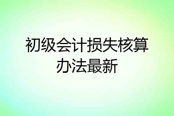 初级会计损失核算办法最新