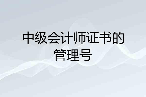 中级会计师证书的管理号