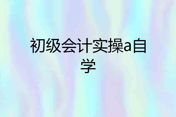 初级会计实操a自学