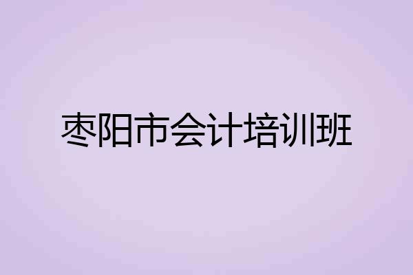 枣阳市会计培训班