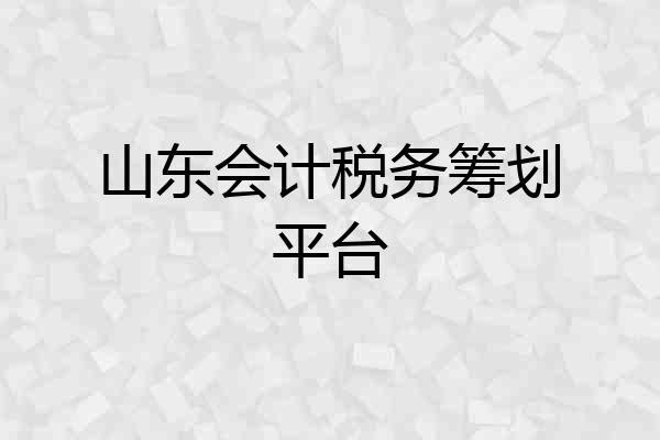 山东会计税务筹划平台