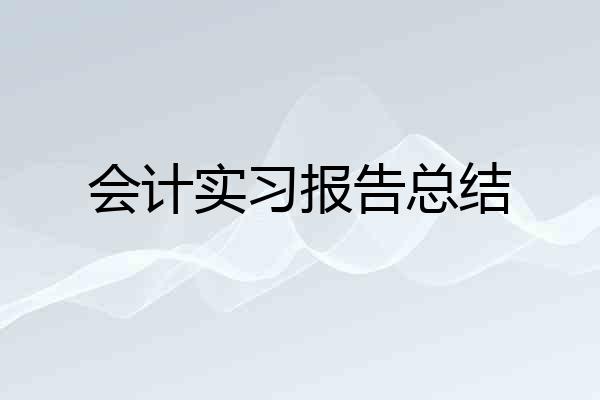 会计实习报告总结