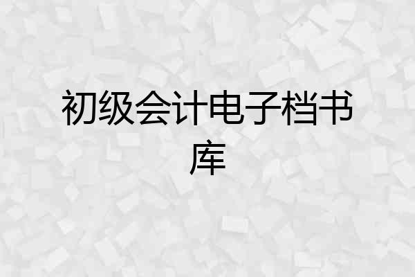 初级会计电子档书库