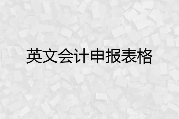 英文会计申报表格