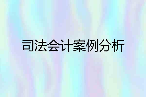 司法会计案例分析