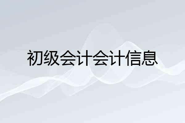初级会计会计信息