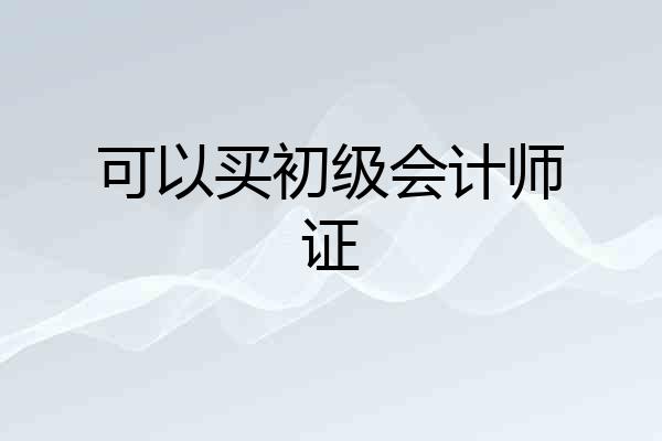 可以买初级会计师证