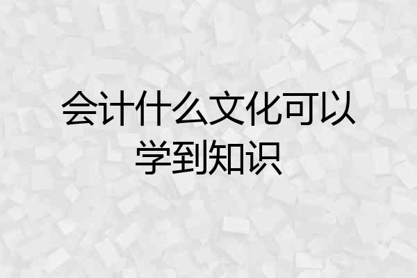 会计什么文化可以学到知识