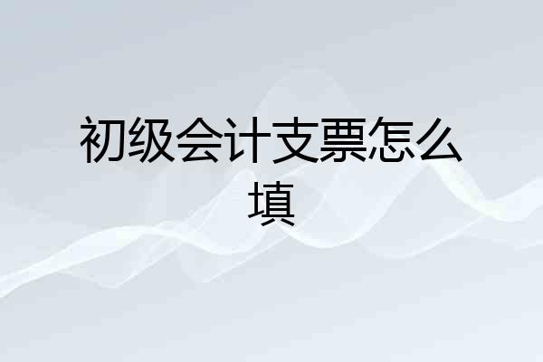 初级会计支票怎么填