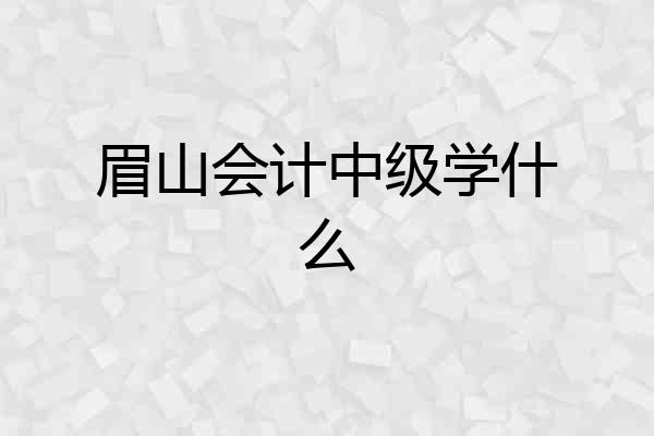 眉山会计中级学什么