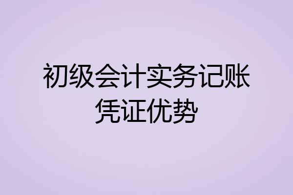 初级会计实务记账凭证优势