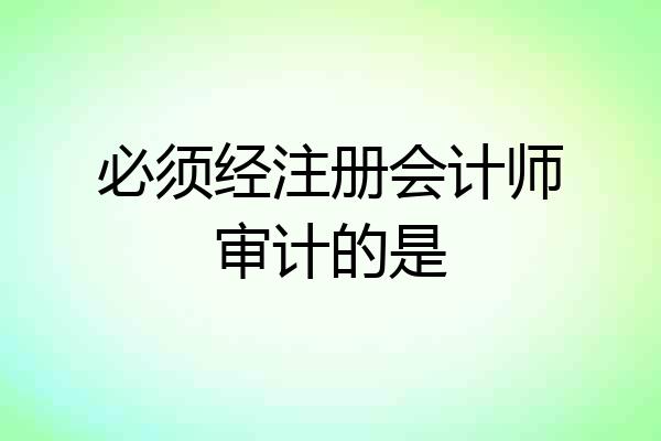 必须经注册会计师审计的是