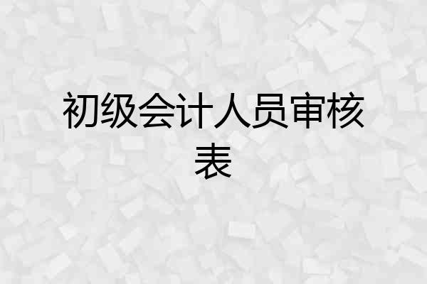 初级会计人员审核表