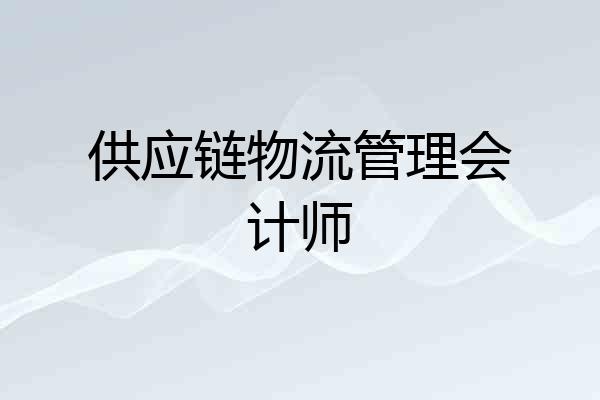 供应链物流管理会计师