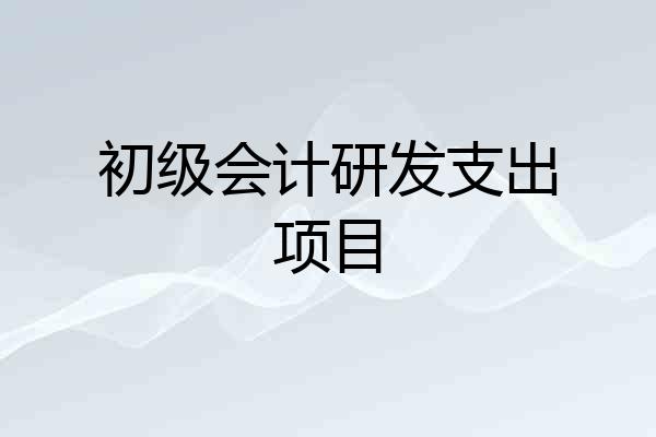 初级会计研发支出项目