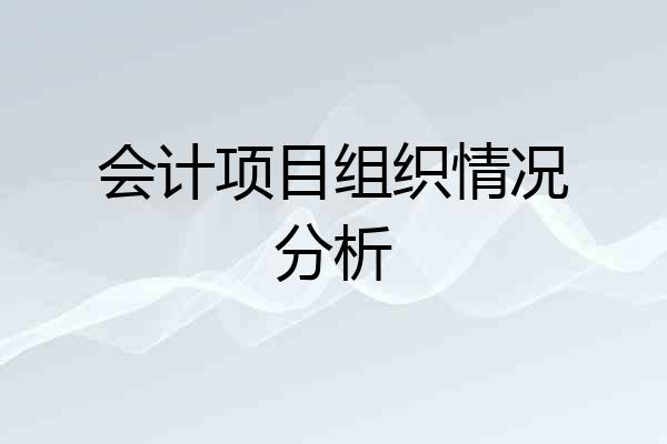 会计项目组织情况分析