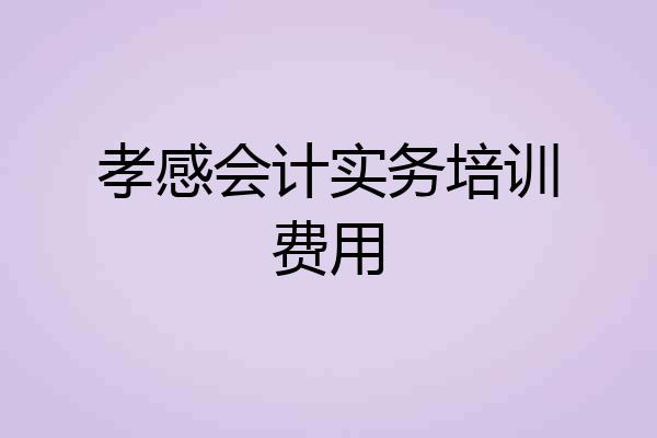 孝感会计实务培训费用