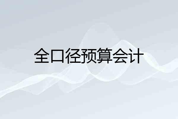 全口径预算会计